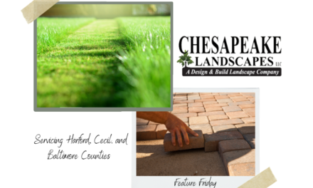 Chesapeake Landscapes – Feature Friday