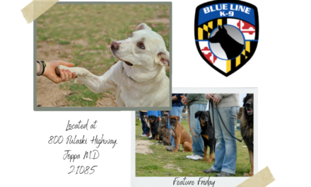 Blue Line K9 Dog Training – Feature Friday